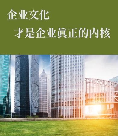 中国近年UFO事件典型案例调查与图像识别技术应用